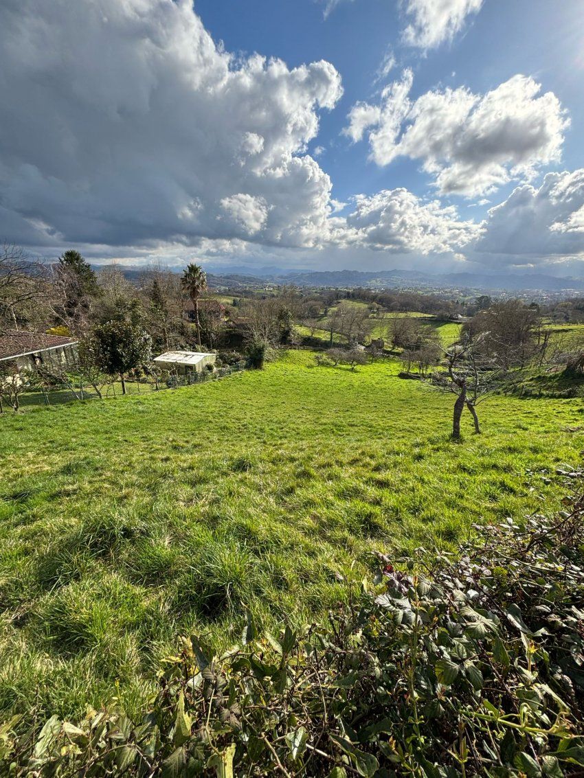 748845b7 c554 4ee8 a44e 08c937f9c736