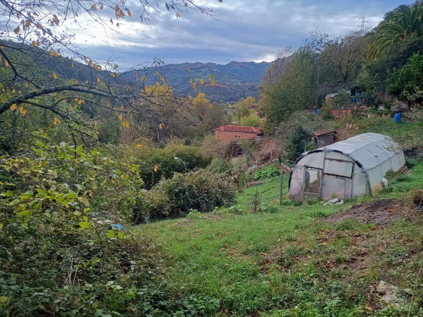 cd3e9020 05cb 4232 ab8e 236af29d5bfc