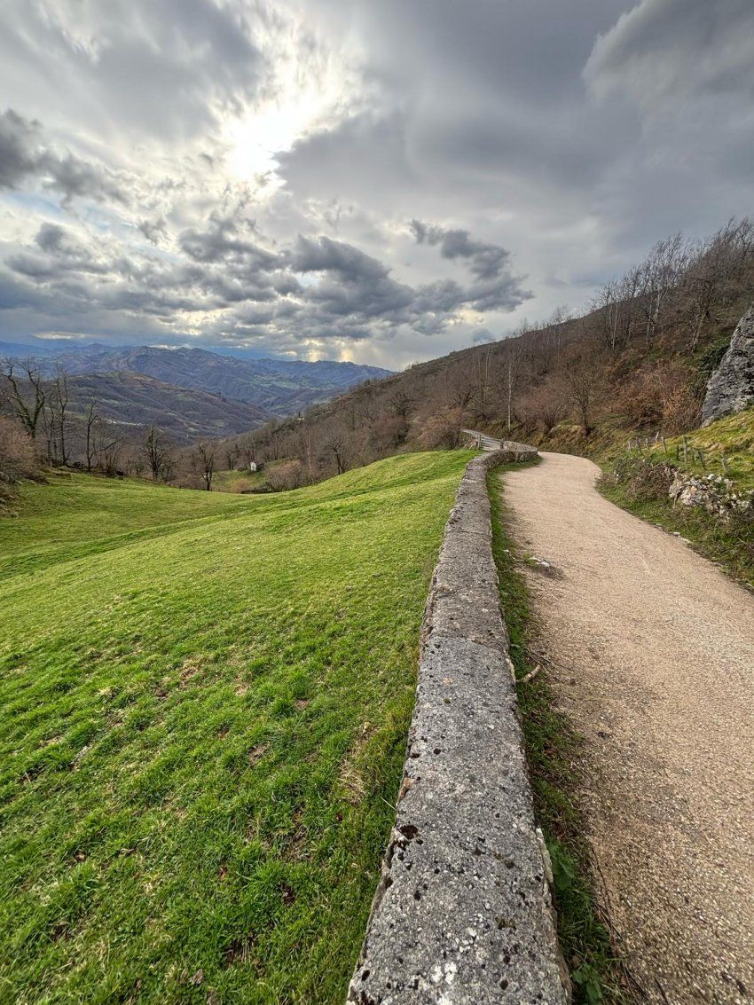 97aacc06 c1ba 4683 9cc3 153ebff3f3a2