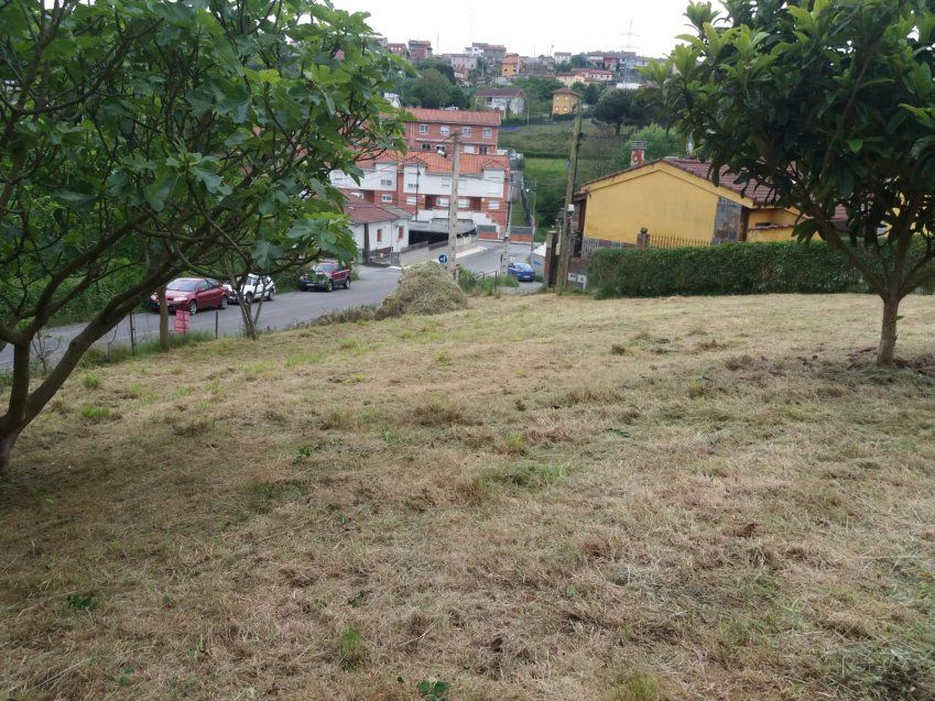 Finca edificable en Fontecha   Langreo