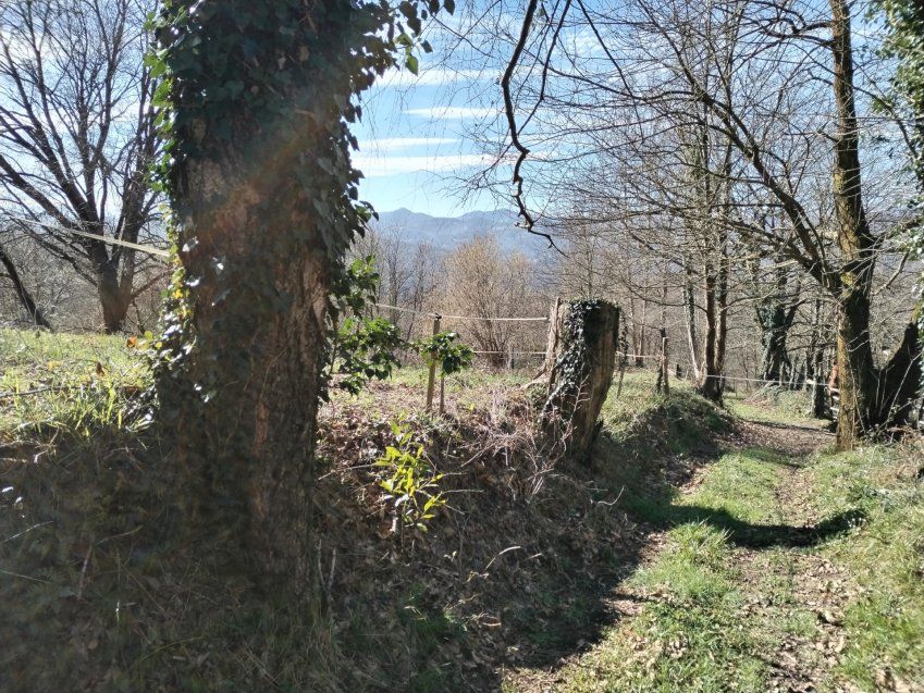 thumbnail img 20240306 114703