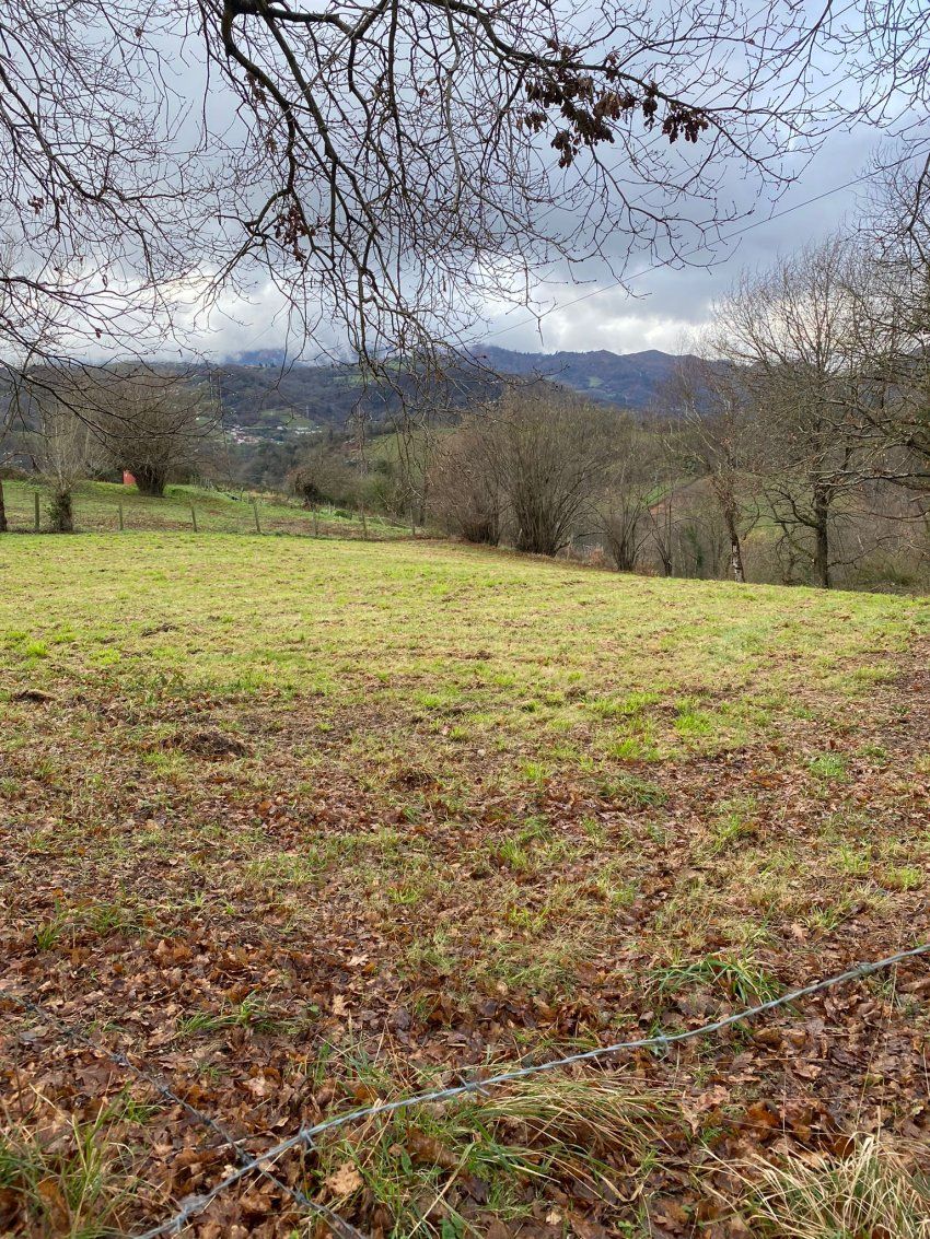 Finca en Campo la Carrera   Langreo