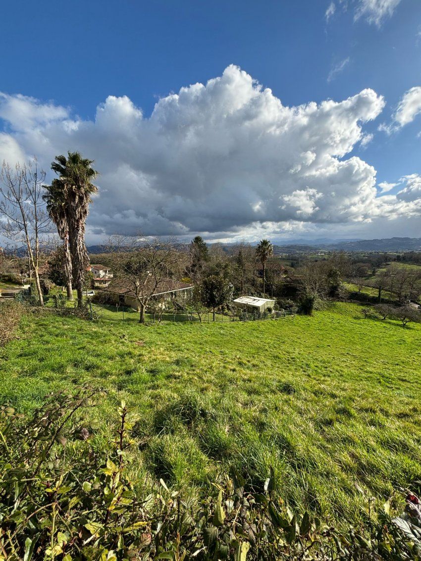 9ed98748 a344 4301 8f23 70b1ea29844f