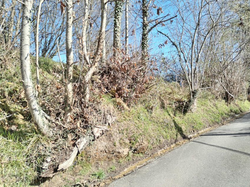 thumbnail img 20240306 111007