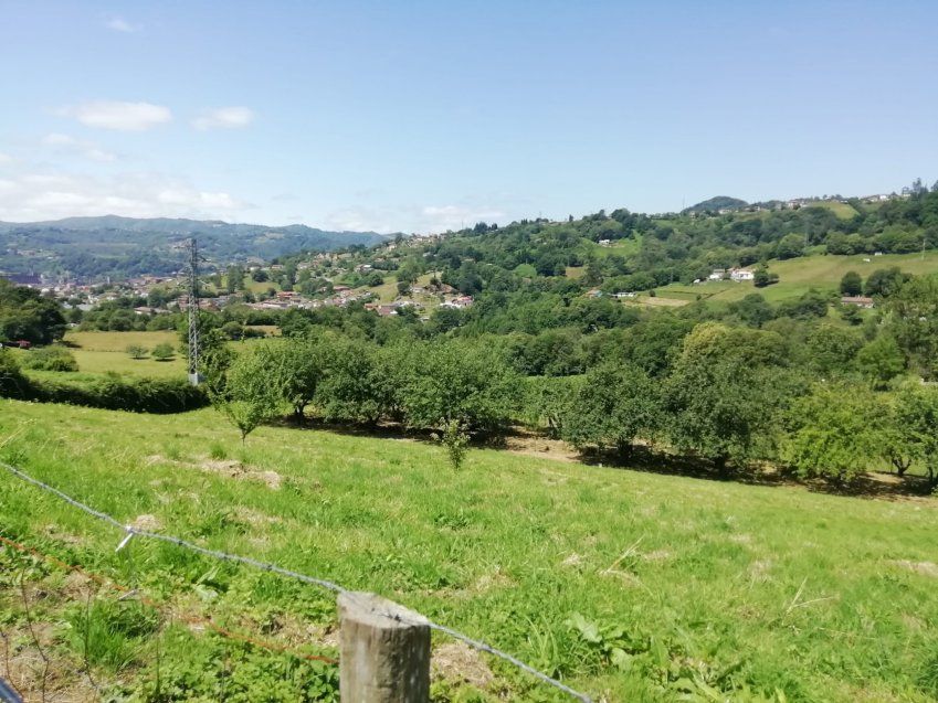 Casa Independiente Con Nave Y Gran Finca – Pando