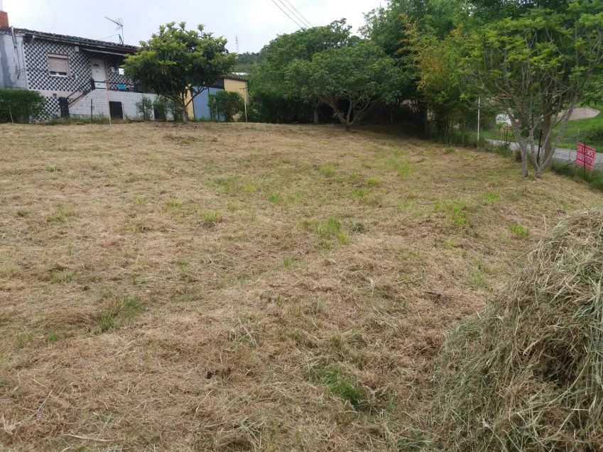 Finca edificable en Fontecha   Langreo