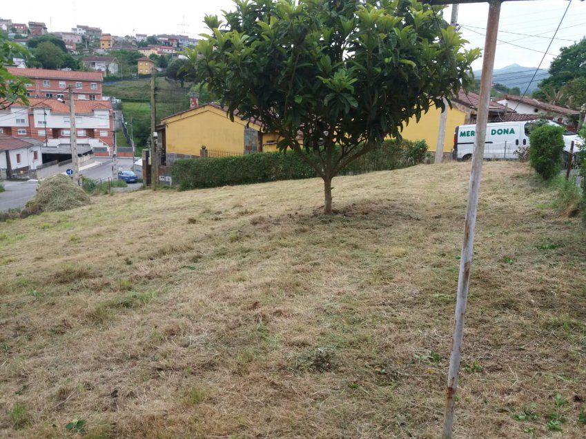 Finca edificable en Fontecha   Langreo