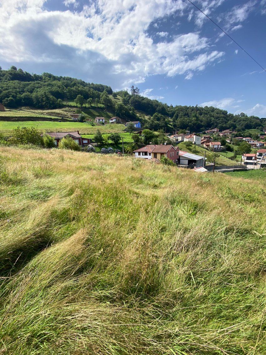 ed17b922 235e 4e1c 86a2 79887d81a060