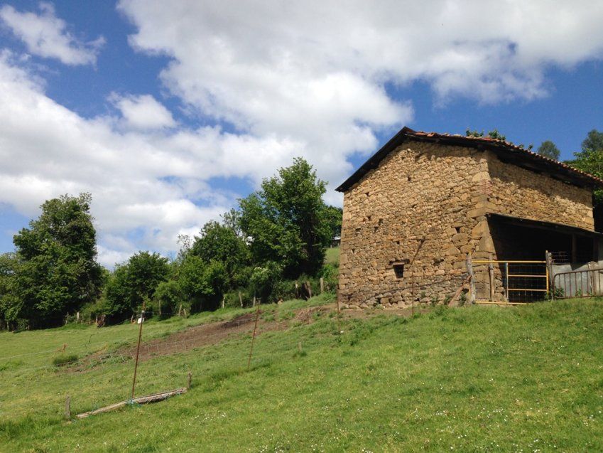 Gran parcela urbanizable   El Entrego