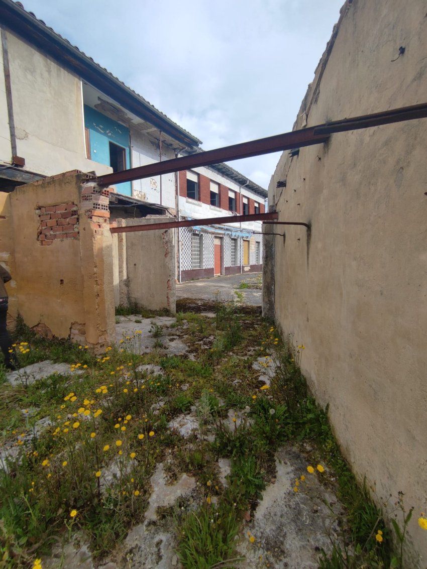 597ded43 6d95 401c a5ff 1465d52c1ec4