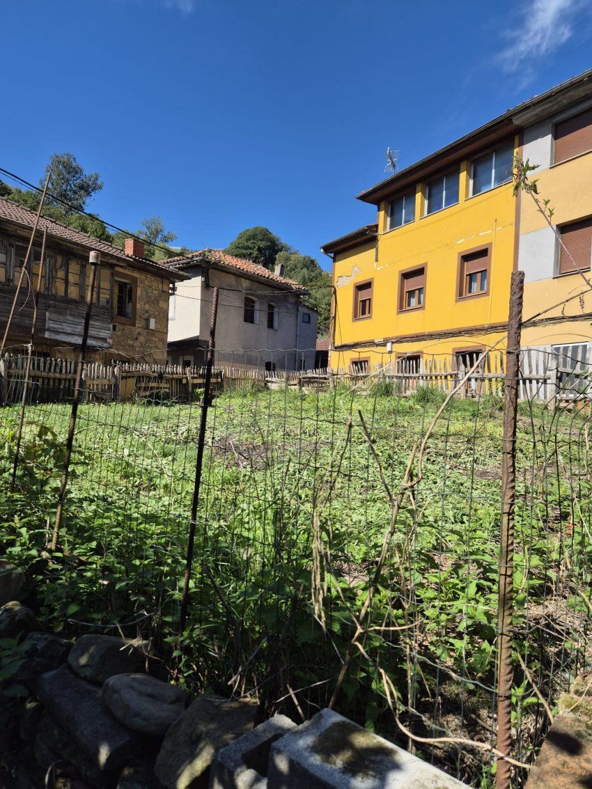 d160fce6 808f 4e34 a4d2 f929650e97d5