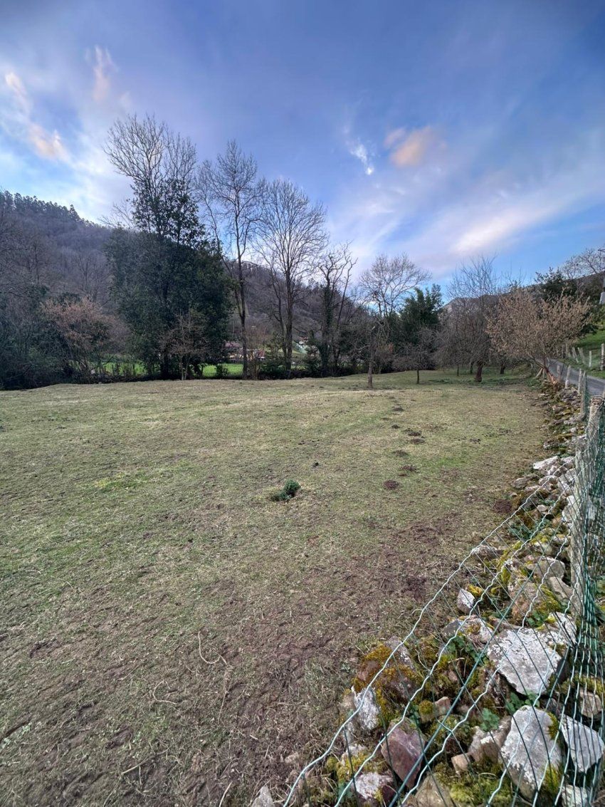 f6028c8d f50d 4dcd 9db3 1e70d3aeb6f0