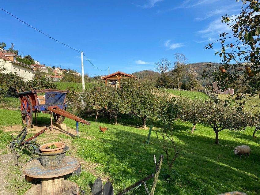 Chalet independiente con terreno   Santo Emiliano