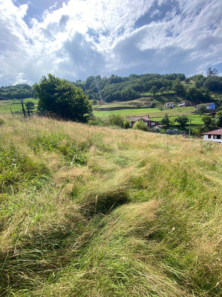 c0c7774c 2b9a 43ea b766 3a3e3c7ed78b