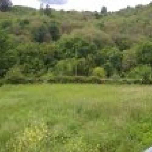 Finca edificable en Lada   Llindión