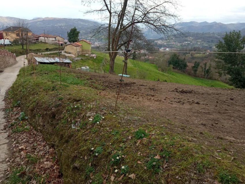 Finca edificable en Les Bories   Langreo