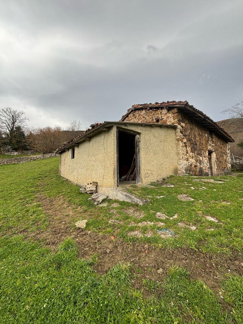 4b2c259c ad78 4c95 9d24 53e4a19c6480