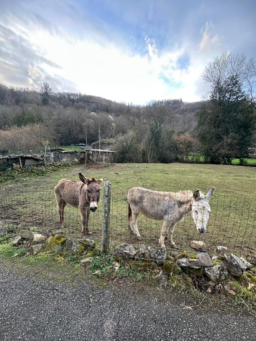 29673d9a 236a 490f 94af 01d8bc71162d