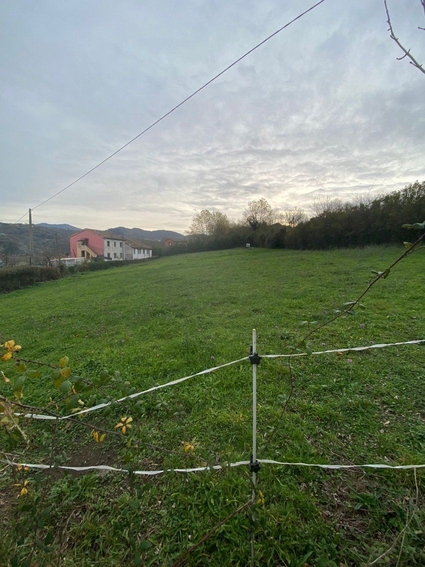 Finca edificable en Lada   La Piezona