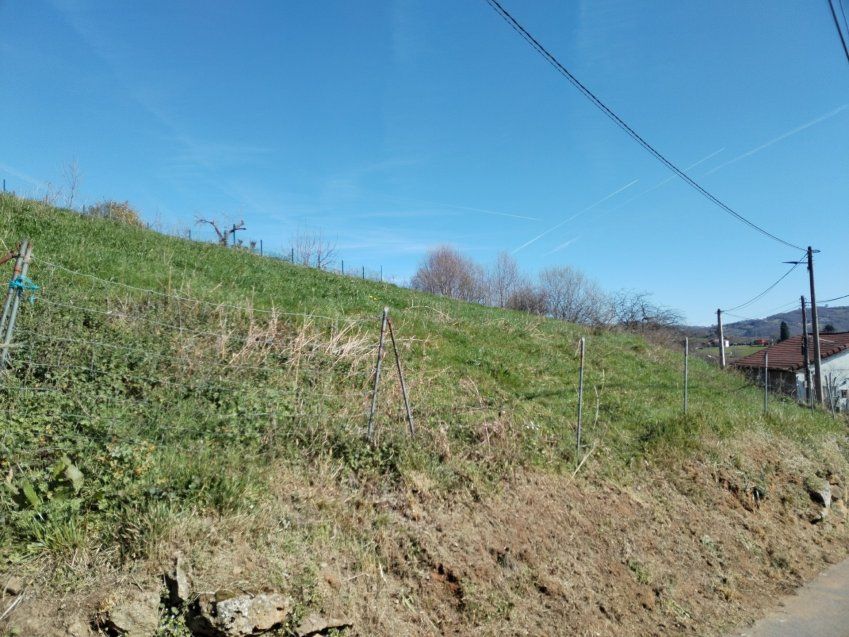 thumbnail img 20240306 121908