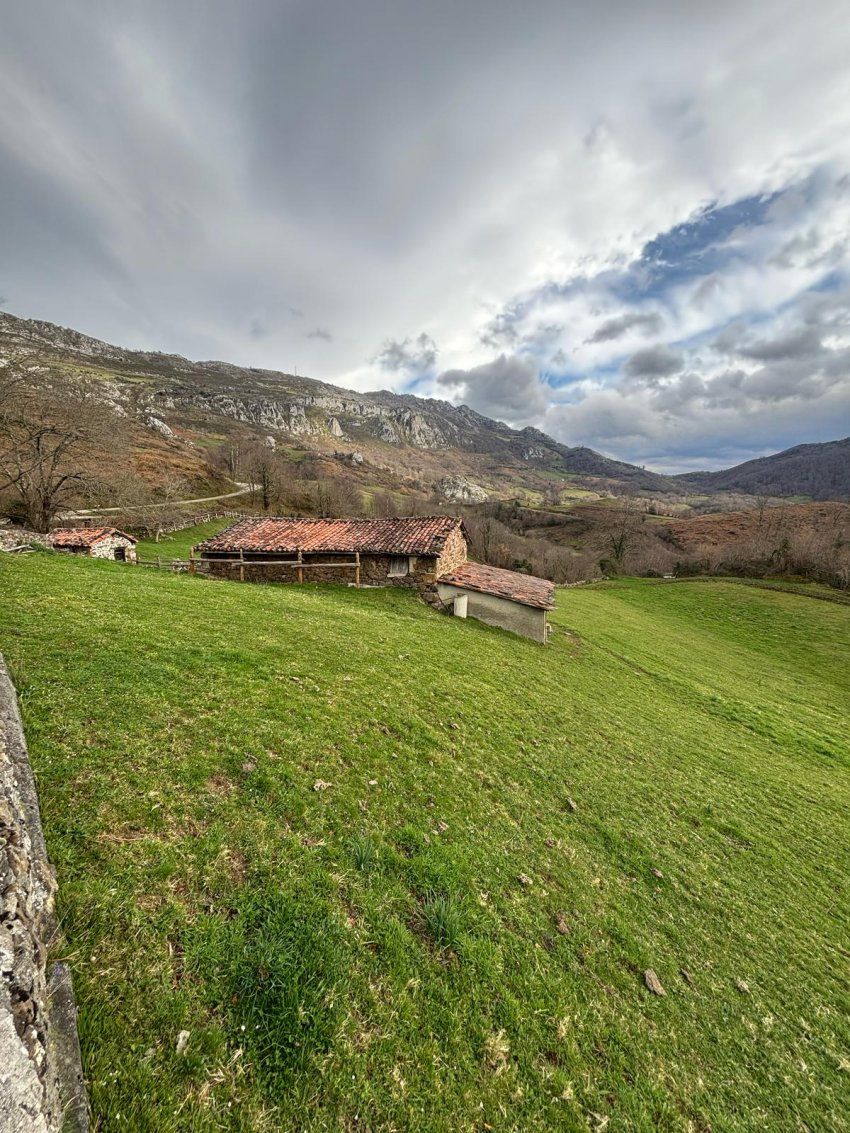 164bd996 2da7 4131 b275 62cf78a13732