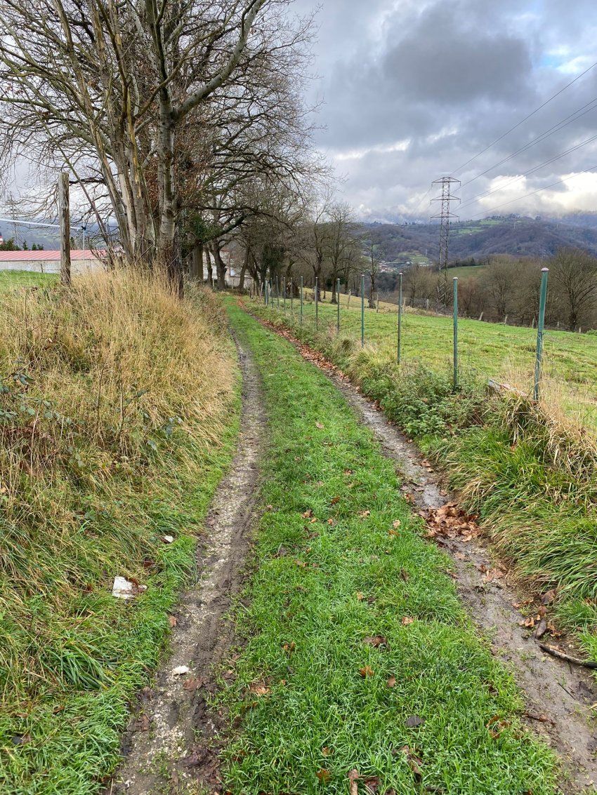 Finca en Campo la Carrera   Langreo