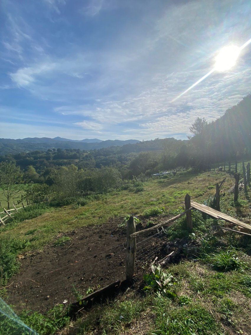 Finca edificable en Les Bories   Langreo