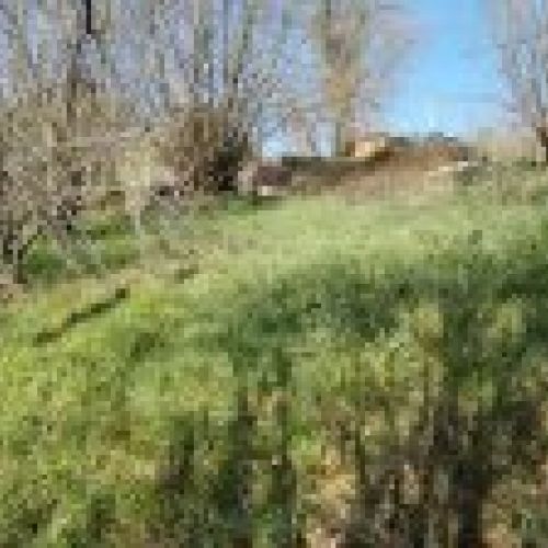thumbnail img 20240306 110817