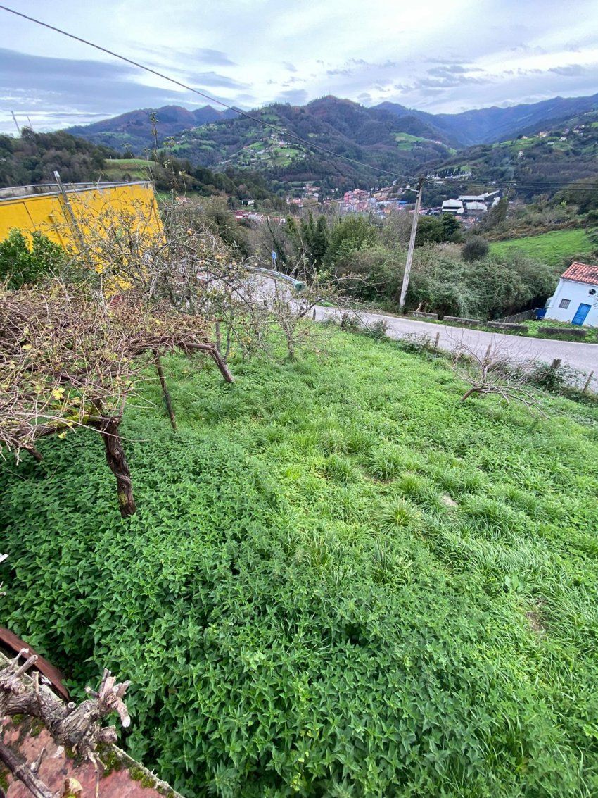 18634df0 92cb 4511 a279 df4c6988730d