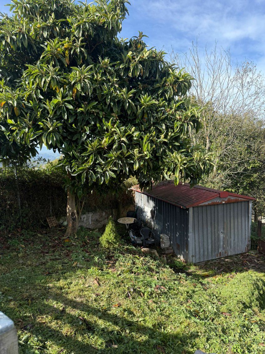 a9c590f3 78a5 4f18 9438 5b8fafa29515