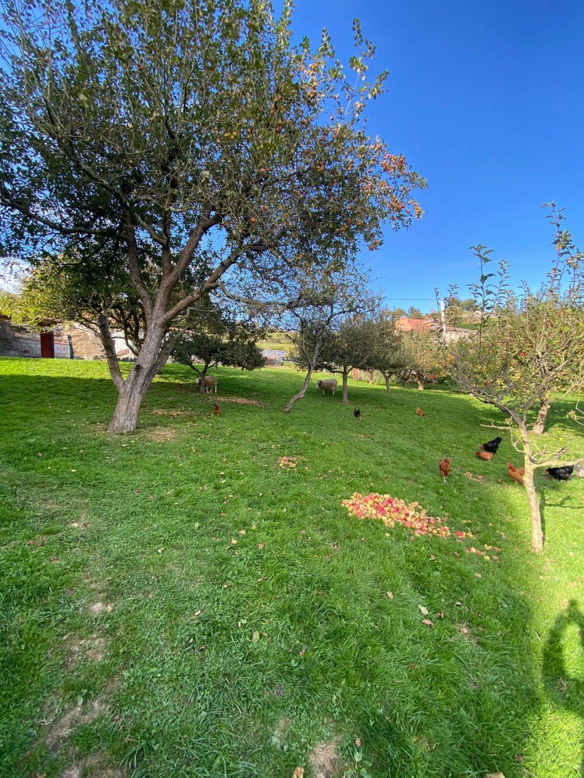 Chalet independiente con terreno   Santo Emiliano