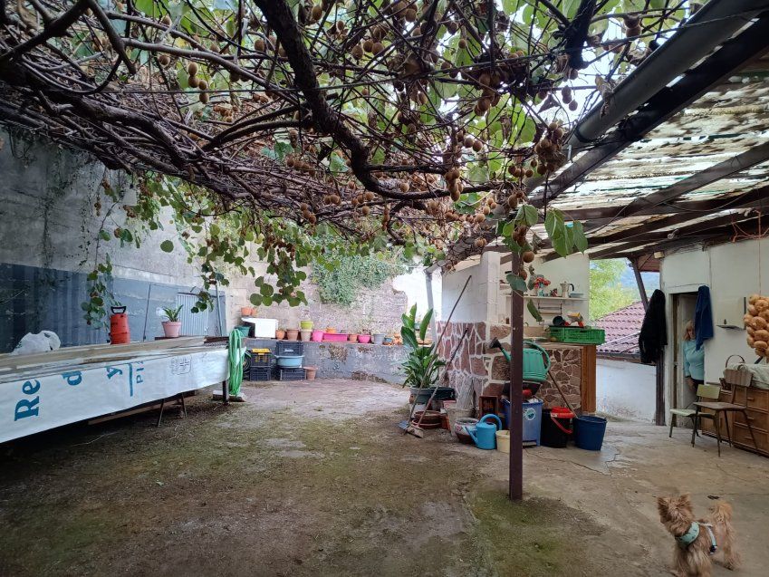 6378bb09 2288 4b3e a619 c818b2a0df90