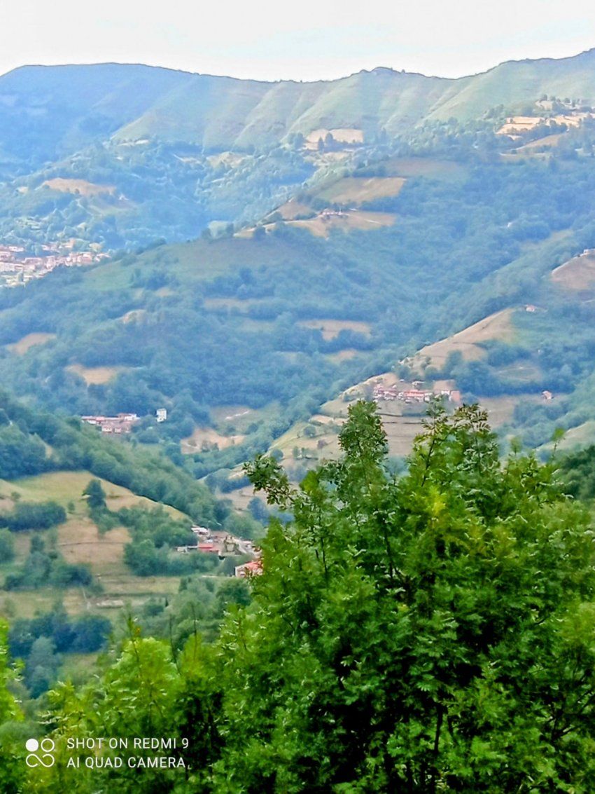 4369b529 87e7 453c 90b7 5f509fc0f329