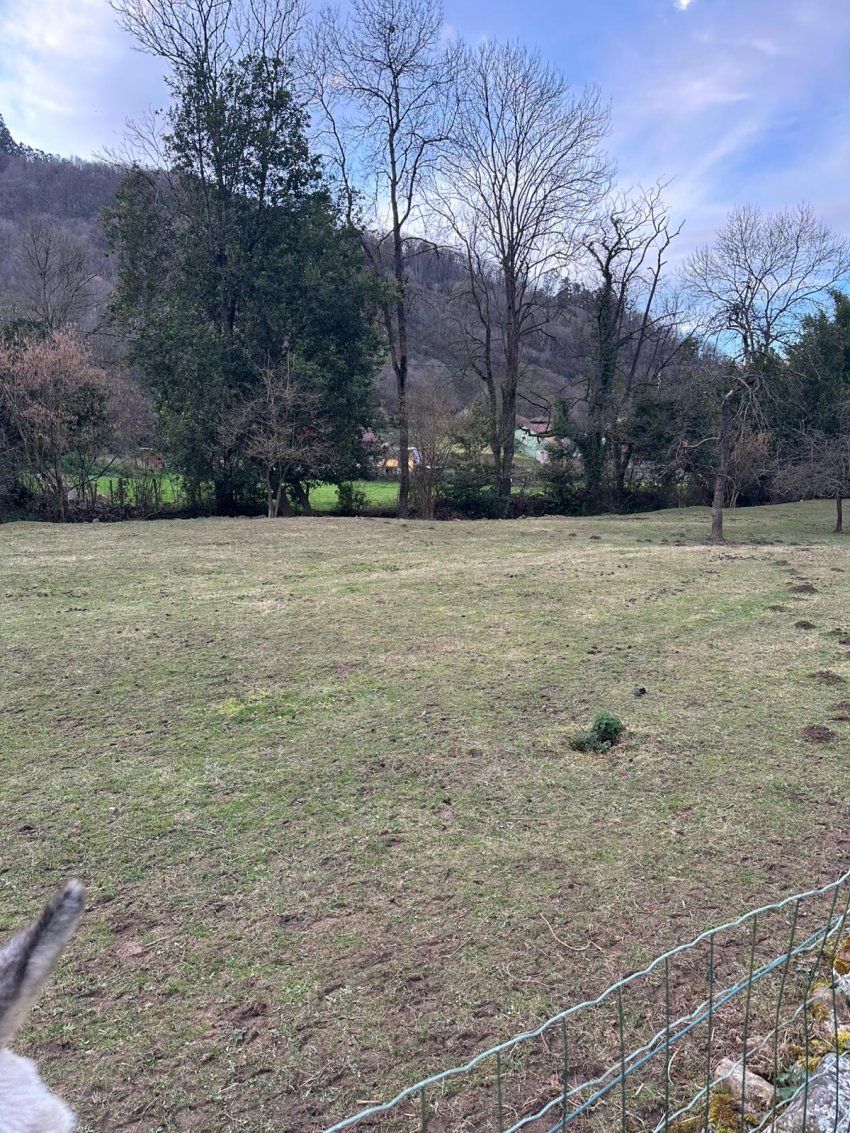 1aa9d259 131d 4522 bc3a c93bfd054354