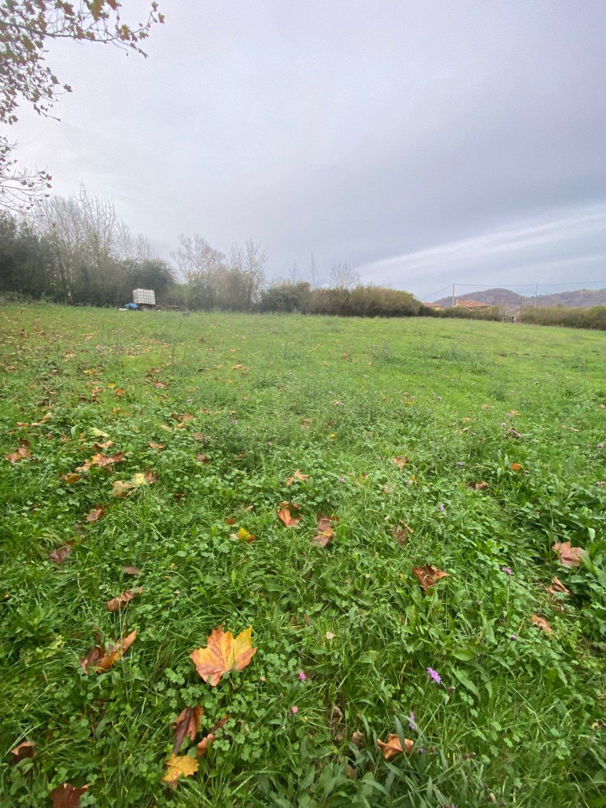 Finca NO EDIFICABLE en Lada   El Calegu de Abajo