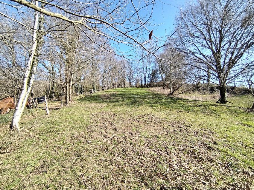 thumbnail img 20240306 114438