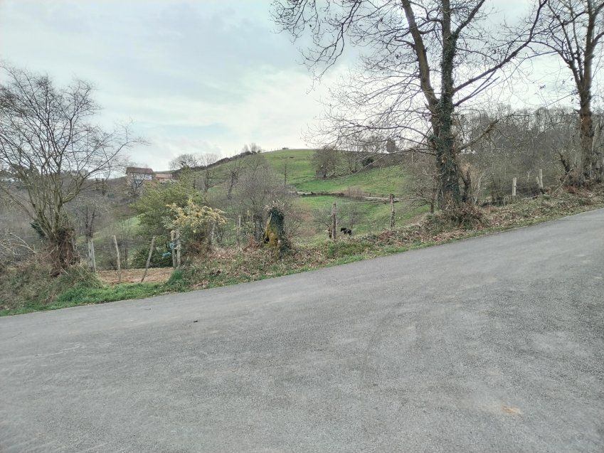 img 20240215 124602699