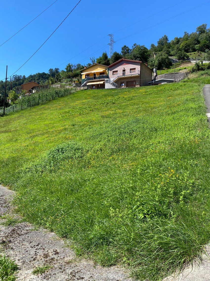 Finca edificable en El Entrego