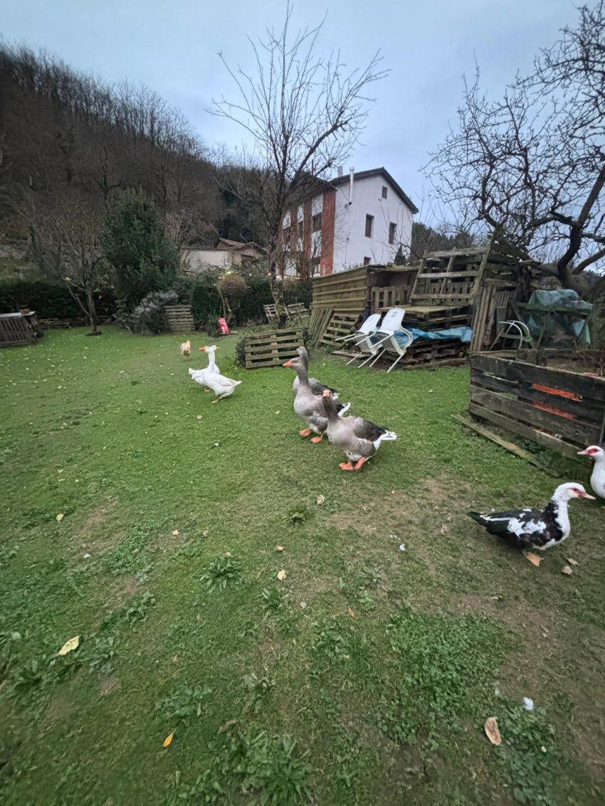 a1285656 fe05 4a8f 8f85 819f78a5d4ec