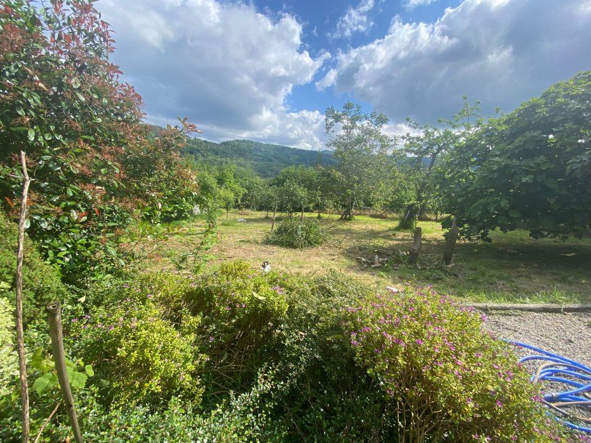 a6f76ac1 f6f6 4b47 bb80 dca5e1001a0d