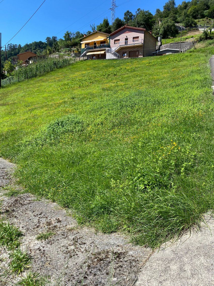 Finca edificable en El Entrego