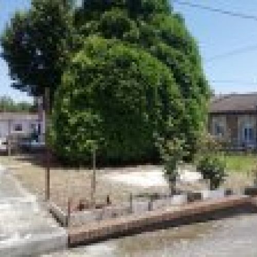 Casa Independiente Con Nave Y Gran Finca – Pando