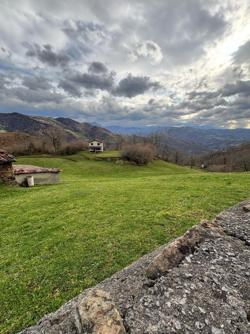 733da5b1 28ab 4256 8b32 07ab0a146181