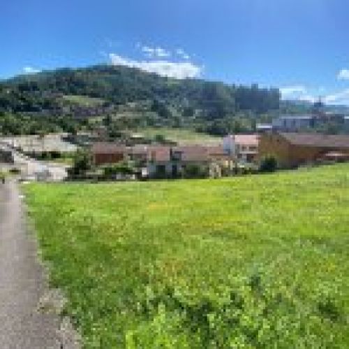 Finca edificable en El Entrego