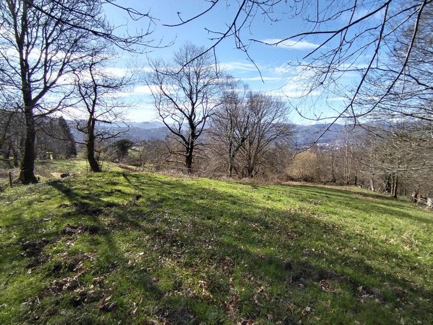 thumbnail img 20240306 114558