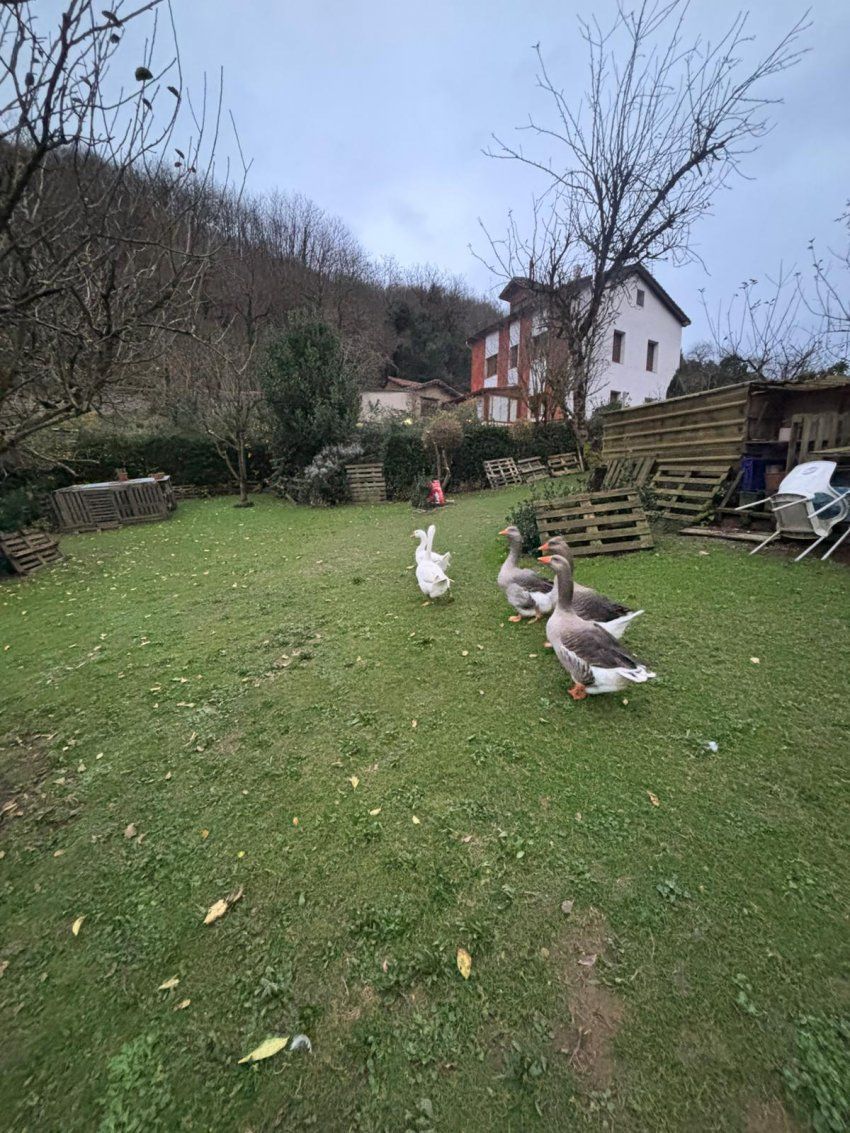 bd09cc68 d9d9 4ce8 8676 632f42e192f4