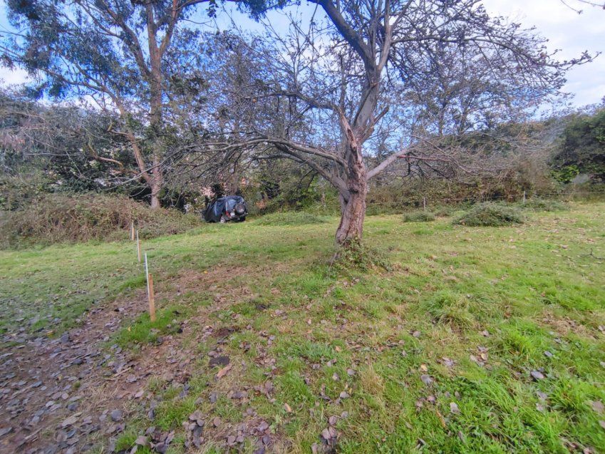 Finca edificable en Langreo   La Tabierna