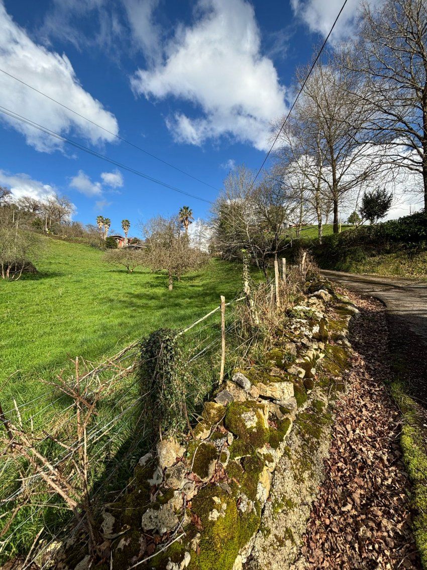 516c68f3 86c9 48bb a33b 92ac6d833608