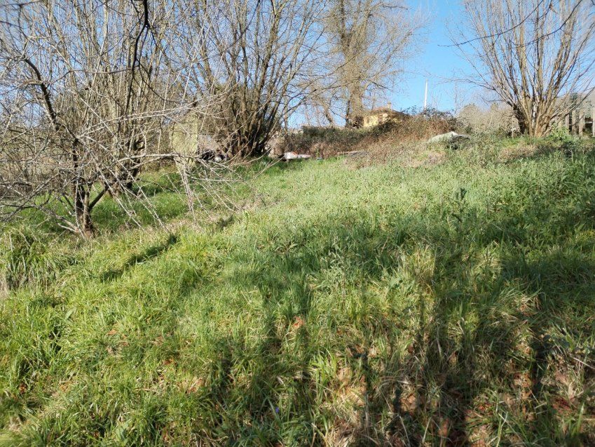 thumbnail img 20240306 110817