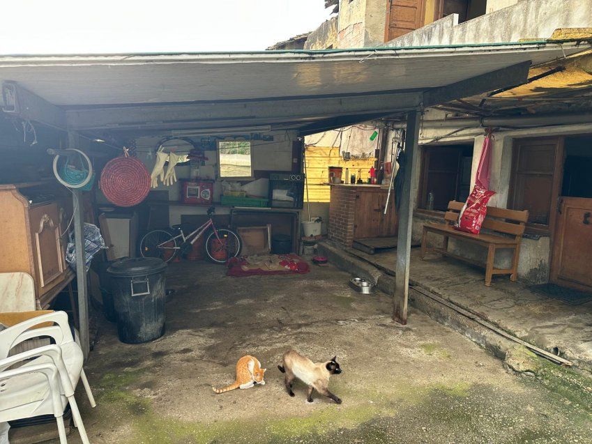 19eb7da5 b39f 4f9f 8a12 e6f27cdc144c